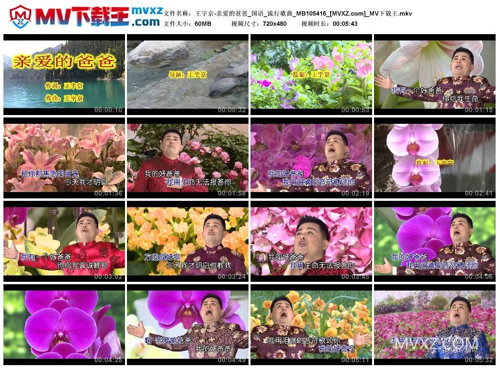王宇京-亲爱的爸爸_国语_流行歌曲_MB105416